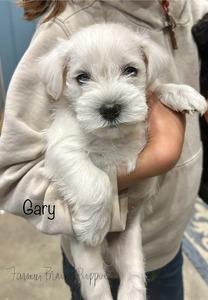 Gary